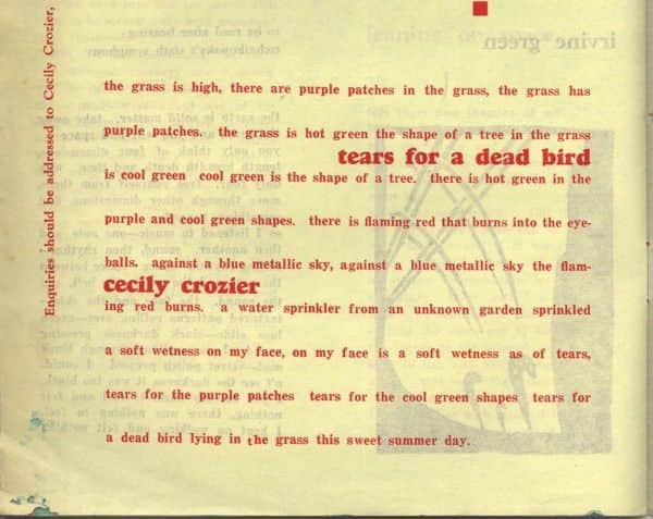 'tears for a dead bird', Comment 3 'tears for a dead bird', Comment 3